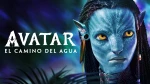 avatar-1.jpg